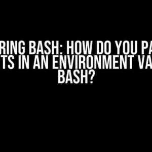 Mastering Bash: How do you package arguments in an environment variable in bash?